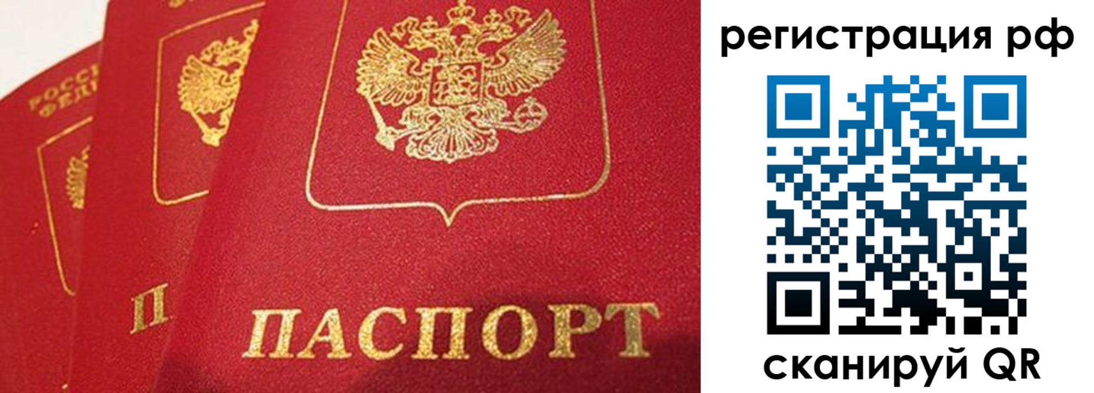 прописка поиск в Горняке